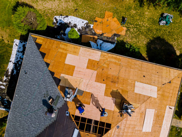 Best Storm Damage Roof Repair  in Buffalo, MN