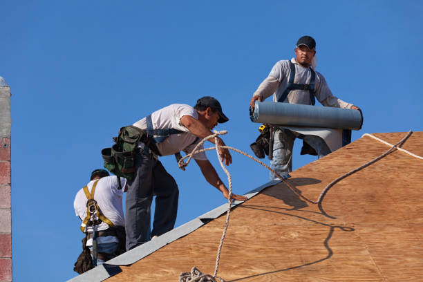 Best Best Roofing Contractors  in Buffalo, MN