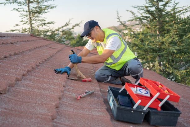 Best Roof Repair Services  in Buffalo, MN