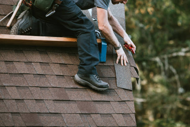Best Gutter Installation and Roofing  in Buffalo, MN